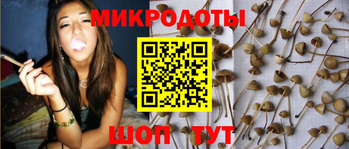 Янаул  Псилоцибиновые грибы ЛСД  Вход с VPN  Галлюциногенные грибы ЛСД 