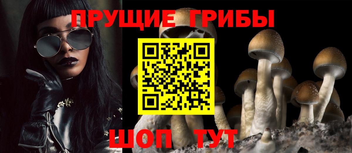 Галлюциногенные грибы Cubensis Янаул